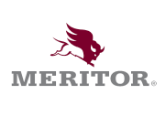 Picture for category Meritor