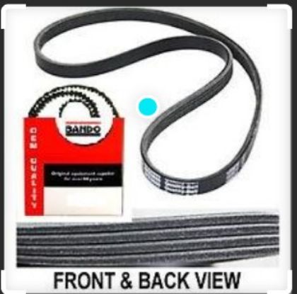 Picture of SEPENTINE BELT FD7J - 10PK1447TM